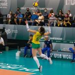 larissa mendes volleyball