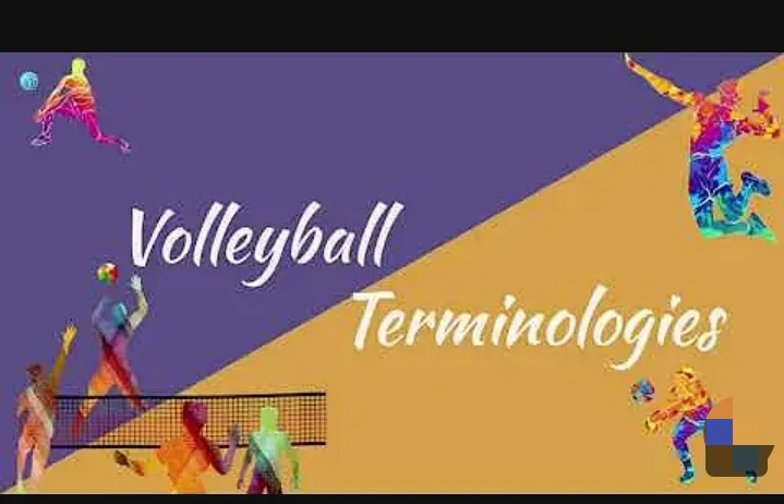 Terms in volleyball with definitions
