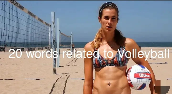 words related to volleyball