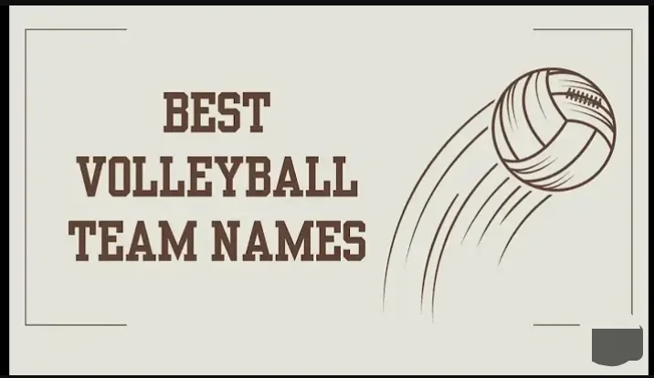 Volleyball Team Names