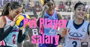 Creamline players salary 