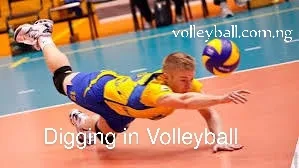 Dig in Volleyball