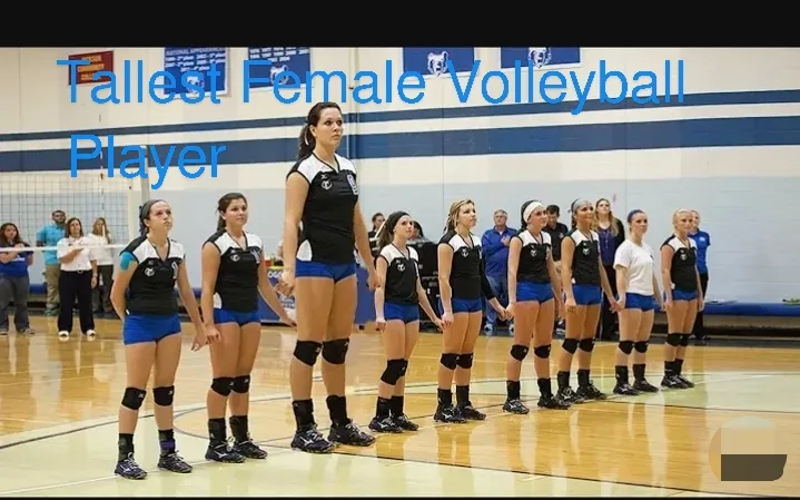 Tallest Female Volleyball Players